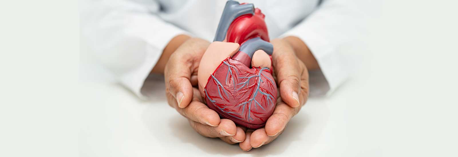 Cardiology Diagnostics